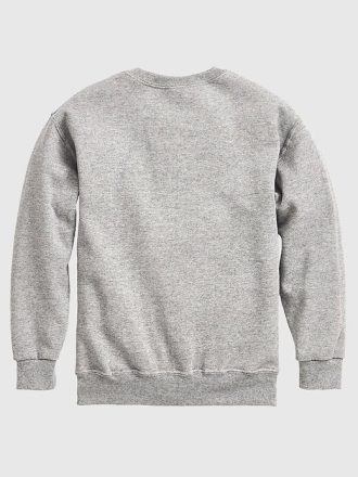 Bluza polarowa dla malucha z okrągłym dekoltem T-Rex Mumia