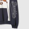 Bluza z kapturem z logo NYC w blokach kolorów Bluza z kapturem z logo NYC w blokach kolorów