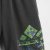 Dziecięce spodenki 5″ Graphic Easy Sweat