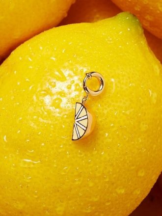 Projekt Little Words Charm